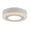 Потолочный светодиодный светильник Arte Lamp Antares A7809PL-2WH