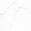 Керамогранит Alma Ceramica Carrara GFU04CRR00R 60x60