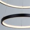 Подвесной светодиодный светильник Arte Lamp Frodo A2197SP-2BK фото 3