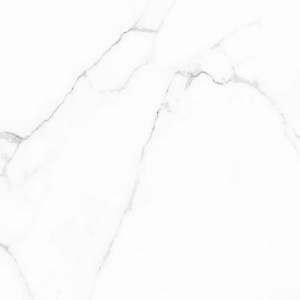 Керамогранит Alma Ceramica Carrara GFU04CRR00R 60x60