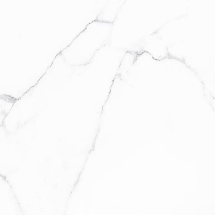 Керамогранит Alma Ceramica Carrara GFU04CRR00R 60x60