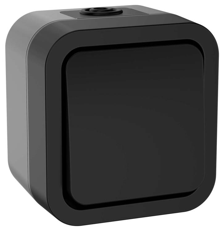 Выключатель 1-клавишный IEK Tors TS-V14-0-10-55-K53 графит