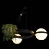 Подвесной светильник Loft IT Jardin 10121/2 фото 3