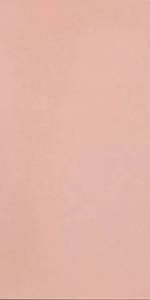Керамогранит Casalgrande Padana R-Evolution 11720035 Light Pink 9mm 60x120