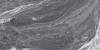 Керамогранит Argenta Brennero 8435592043951 Dark Matt Artech 60x120