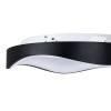 Потолочный светодиодный светильник Arte Lamp Ankaa A3085PL-56BK фото 2