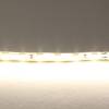 Светодиодная лента Lightstar 420504 фото 2