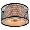 Потолочная люстра Lussole Loft Levittown LSP-9676