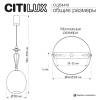 Подвесной светильник Citilux Fernet CL254410 фото 14