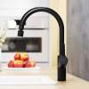 Смеситель для кухни Damixa Eclipse 310722300 с двухрежимным регулируемым аэратором, черный фото 3