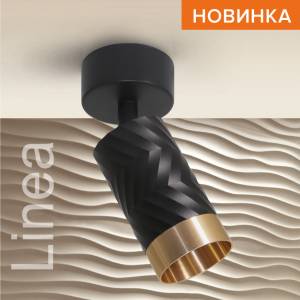 Накладной светильник Wolta Linea WSL-GU10/S09BG
