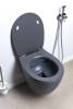 Унитаз подвесной Allen Brau Fantasy 4.11004.AN антрацит, без сиденья фото 5
