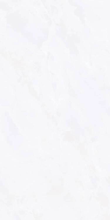 Керамогранит Vizavi Ceramica Glazed ZA-D12603 Полированный 60x120