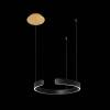 Подвесной светодиодный светильник Loft IT Ring 10025/400 Black фото 5
