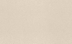 Обои Rasch Trend 975314