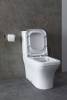Чаша для унитаза Allen Brau Infinity 4.21012.20 без сиденья фото 39