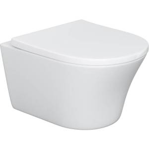 Унитаз подвесной Damixa Skyline DX35C1700SC с крышкой-сиденьем микролифт