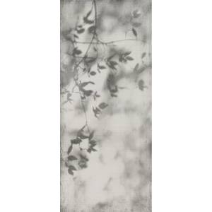 Керамогранит Flaviker Art Walls PF60010089 Shadow Nat R 120x280