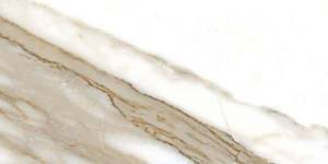 Керамогранит Fanal Pulido Nplus Calacatta Rec 60x120