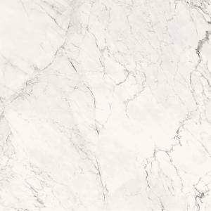 Керамогранит La Faenza Aesthetica AE CAL6 120 RM 120x120