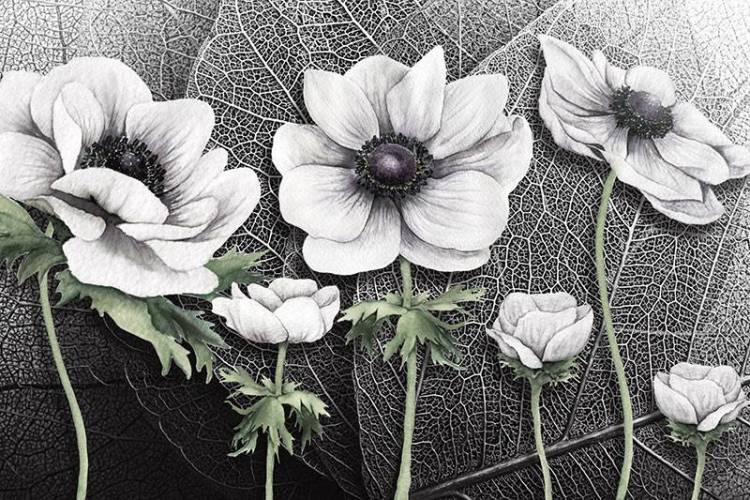 3D Фотообои Artegrafico «Композиция с белладонной» BT-045 акварель