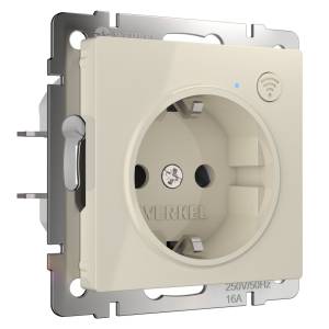 Умная встраиваемая розетка с заземлением с защитными шторками Werkel W1171603