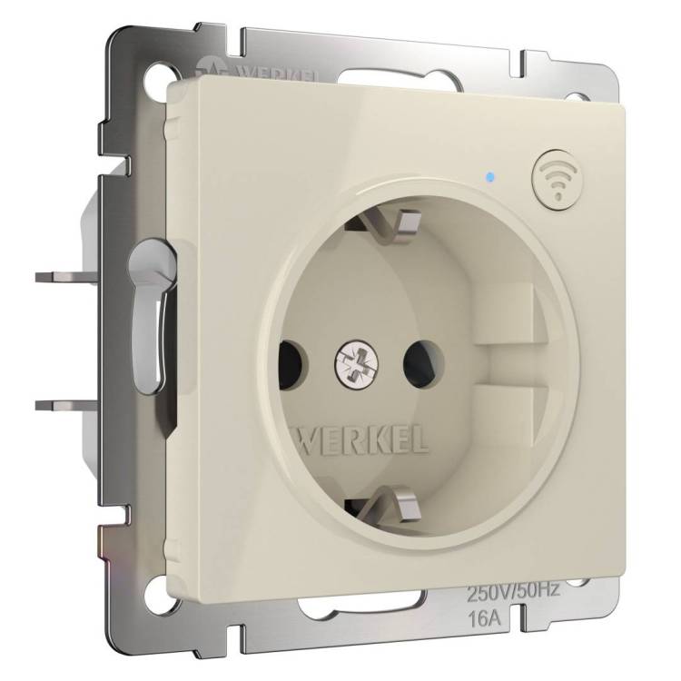 Умная встраиваемая розетка с заземлением с защитными шторками Werkel W1171603