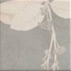 Керамогранит Mainzu Soft Kamelia Grey 15x15 фото 8