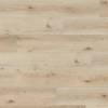 LVT Плитка Wineo 400 Wood XL 2/31 DB00127 Дуб Удача 1505x235