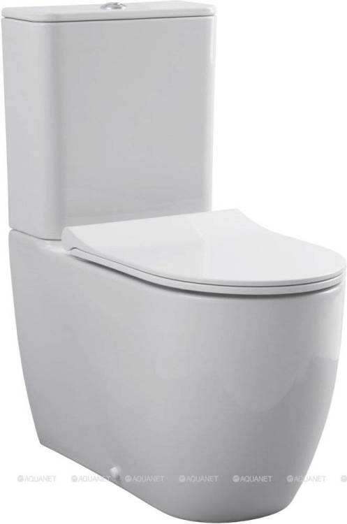 Унитаз-компакт Allen Brau Priority 4.31003.20 с сиденьем
