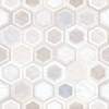 Керамогранит Alma Ceramica Evolution GFU04EVL47R 60x60 фото 2