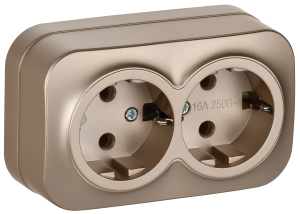 Розетка 2-местная с заземлением IEK Glory ERH21-K37M-16 шампань матовый
