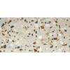 Керамогранит STN Ceramica Crisp XL Beige Mt Rect 60x120