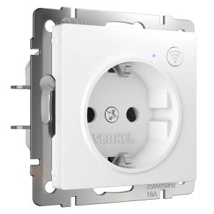 Умная встраиваемая розетка с заземлением с защитными шторками Werkel W1171601