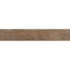 Керамогранит STN Ceramica Porcelanico Asbury Forest 15x90