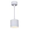 Подвесной светильник Reluce 53007-0.9-001LD GX53 WT фото 4