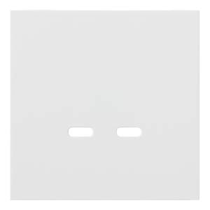 Лицевая панель для розетки USB C/C Rikett 35675 MW белый сатин