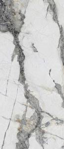 Керамогранит Neodom Titanium N20416 Renoir Polished 120x278