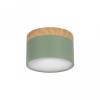 Накладной светодиодный светильник Loft IT Grape 10162 Green