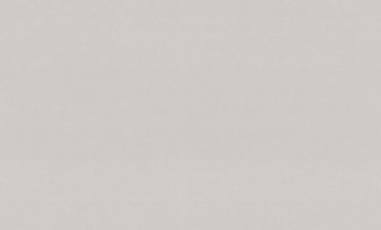 Обои Palitra Trend Maks FM72488-28