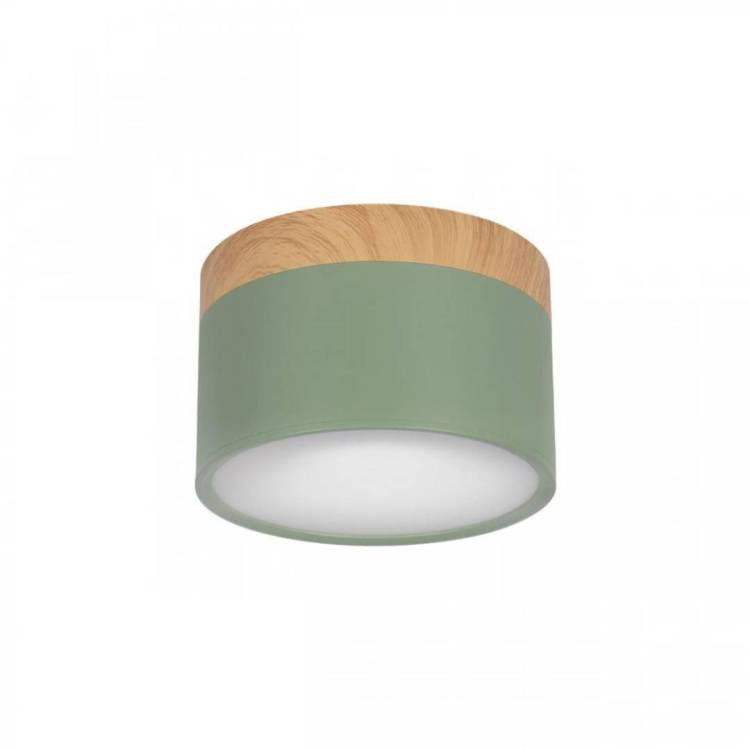 Накладной светодиодный светильник Loft IT Grape 10162 Green