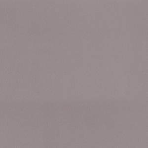 Линолеум Tarkett Omnisports Excel (Омниспортс Эксель) Grey (Серый) (рулон: 2x20.5=41м2)