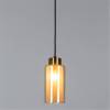 Подвесной светильник Arte Lamp Leo A7027SP-1BK фото 3