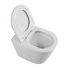 Унитаз приставной BelBagno Flay-r BB1003CBR/SC, с сиденьем фото 3