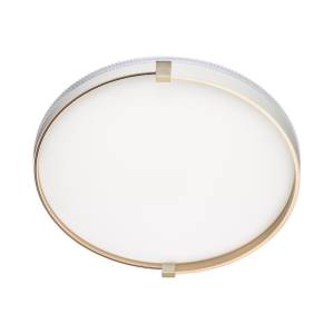 Настенно-потолочный светильник Sonex Olidi White 7646/DL