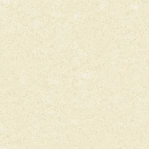 Обои York Carlisle Company Opposites Attract BW8171