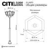 Уличный светильник Citilux Forts CLU10P3 фото 12