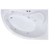Акриловая ванна Royal Bath Alpine RB819102ST-R 170x100 с гидромассажем