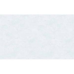 Обои Erismann Oasis 60596-04