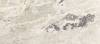 Керамогранит Casa Dolce Casa Onyx and More 765409 White Blend Glossy Ret 80x180